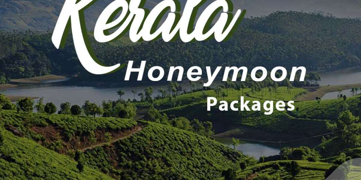 Get a wonderful travel experience with Kerala Tour Package 9355533360