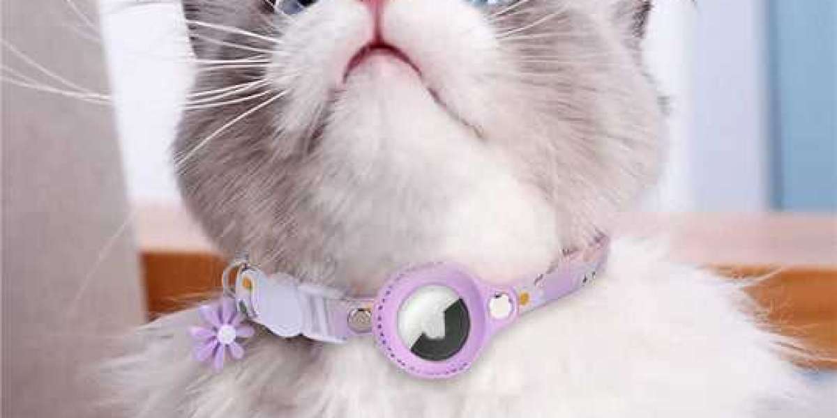 Choosing the Perfect Leather Cat Collar: Style Meets Safety